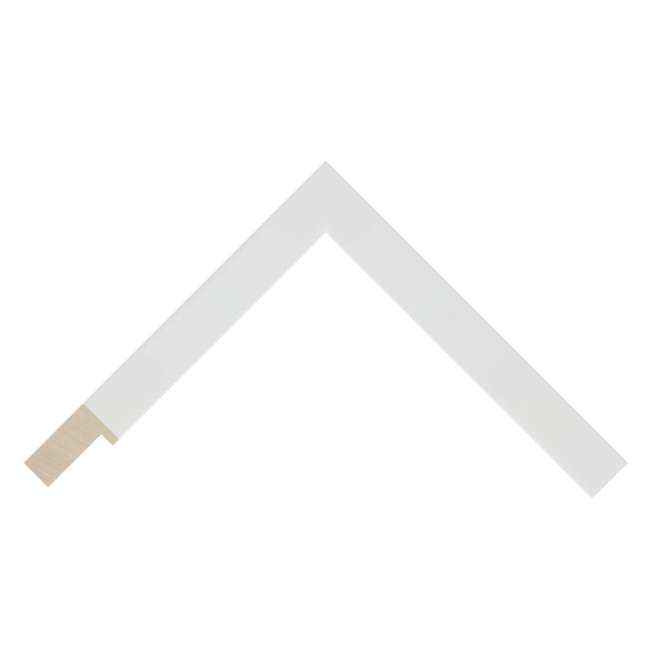 White Picture Frames
