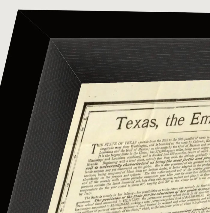 Vintage 1891 Rand McNally county and railroad map of Texas, framed reproduction framed