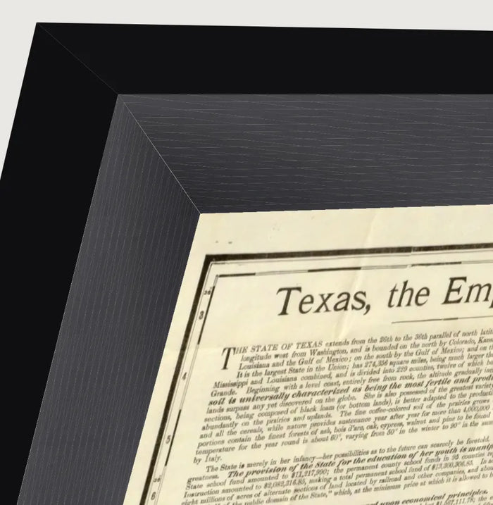 Vintage 1891 Rand McNally county and railroad map of Texas, framed reproduction framed