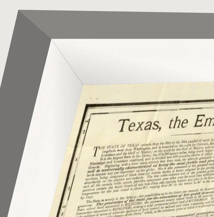 Vintage 1891 Rand McNally county and railroad map of Texas, framed reproduction framed