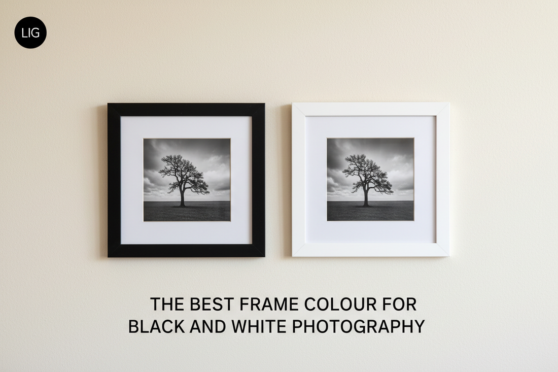 Black and white frames displaying the same monochrome tree photograph