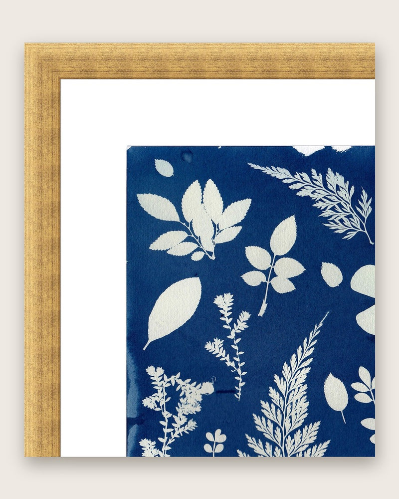 Close-up of an antique gold moulding with a wide white mount board around a cyanotype print