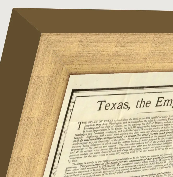 Vintage 1891 Rand McNally county and railroad map of Texas, framed reproduction framed