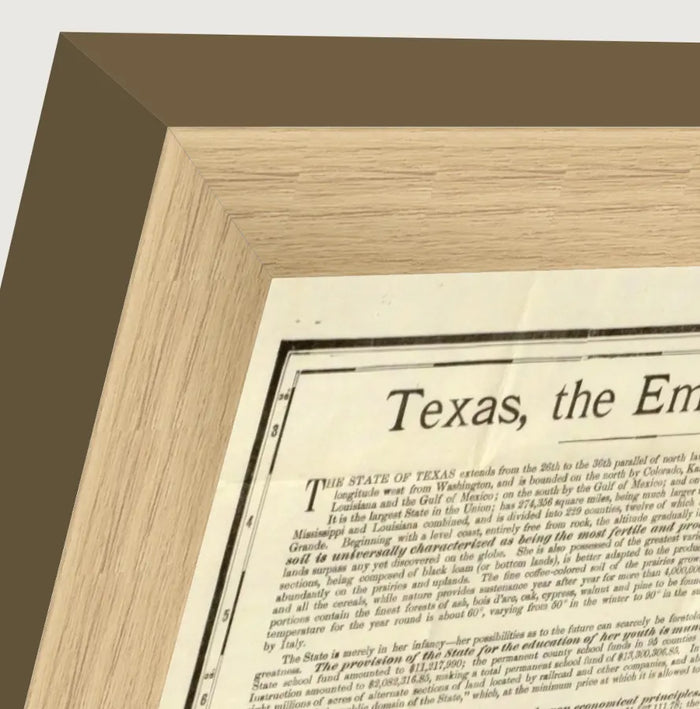 Vintage 1891 Rand McNally county and railroad map of Texas, framed reproduction framed
